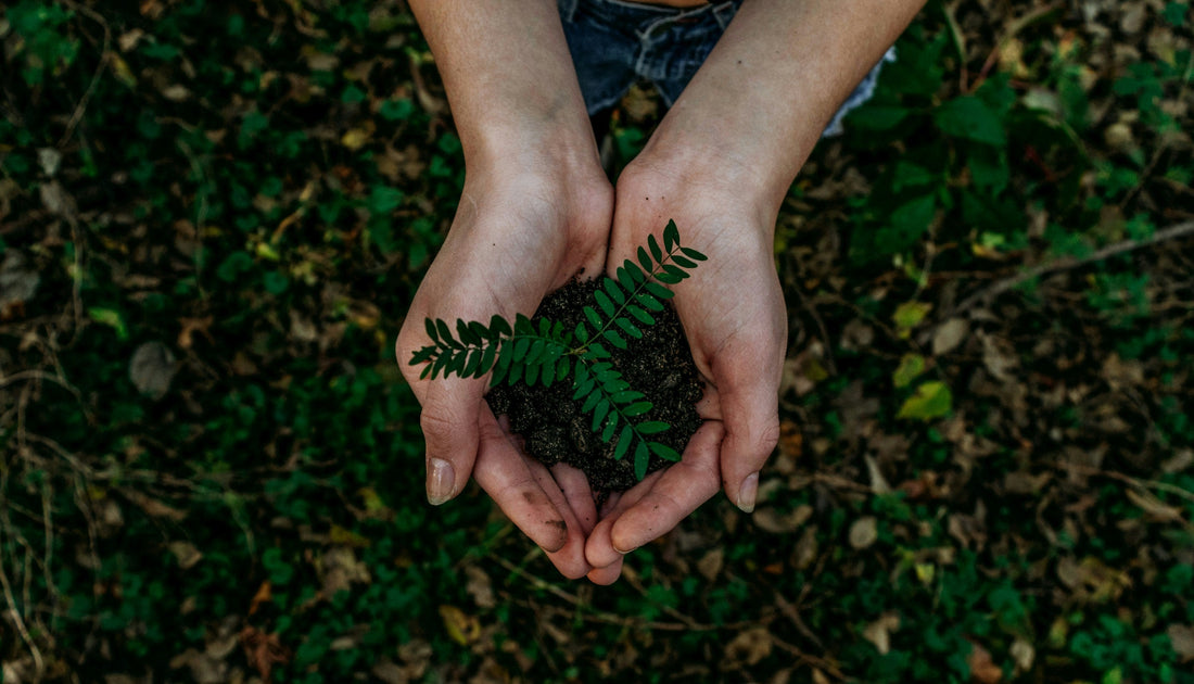 The Rise of Sustainable Manufacturing: What Brands Should Know